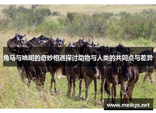 角马与姚明的奇妙相遇探讨动物与人类的共同点与差异